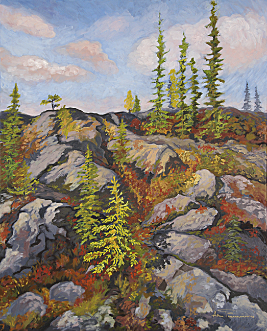Outcrop Rocks original oil painting by Ann Timmins ©